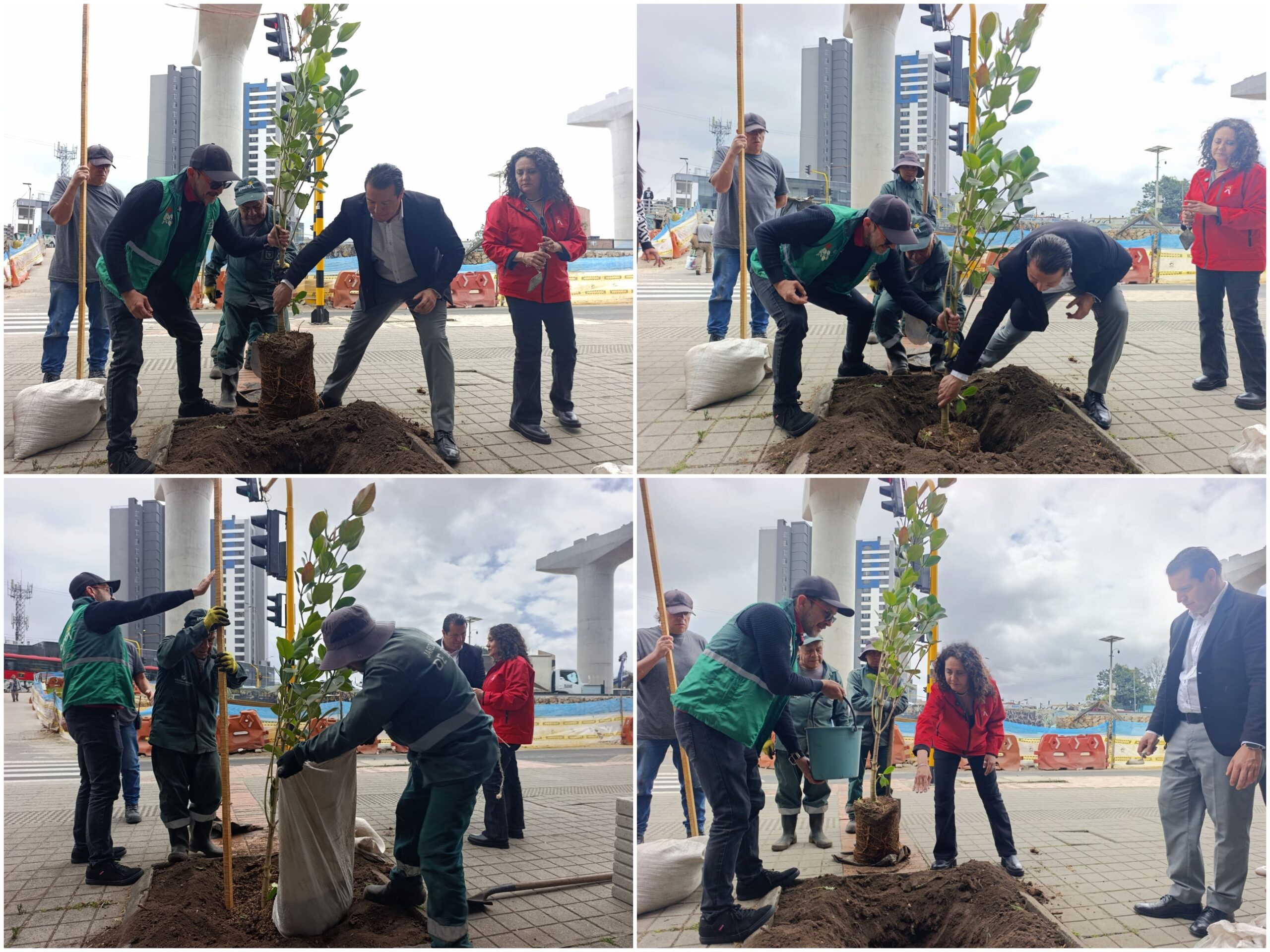 Historias del verde urbano: El primer centro comercial de estilo abierto en Bogotá ayudará a fortalecer las coberturas vegetales Historias del verde urbano: El primer centro comercial de estilo abierto en Bogotá ayudará a fortalecer las coberturas vegetales