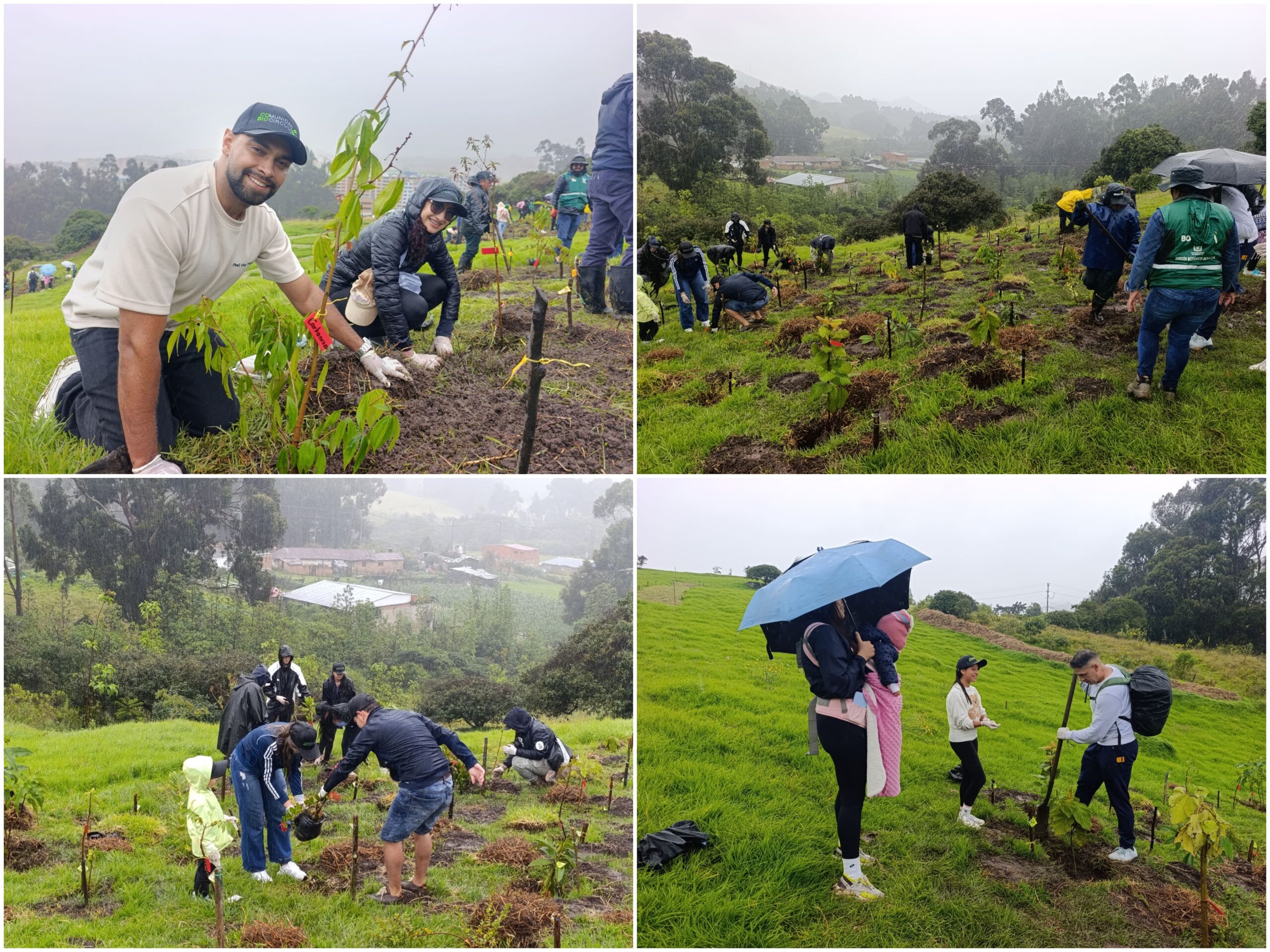 Historias del verde urbano: Jornada de restauración ecológica en la única área arqueológica protegida de Bogotá