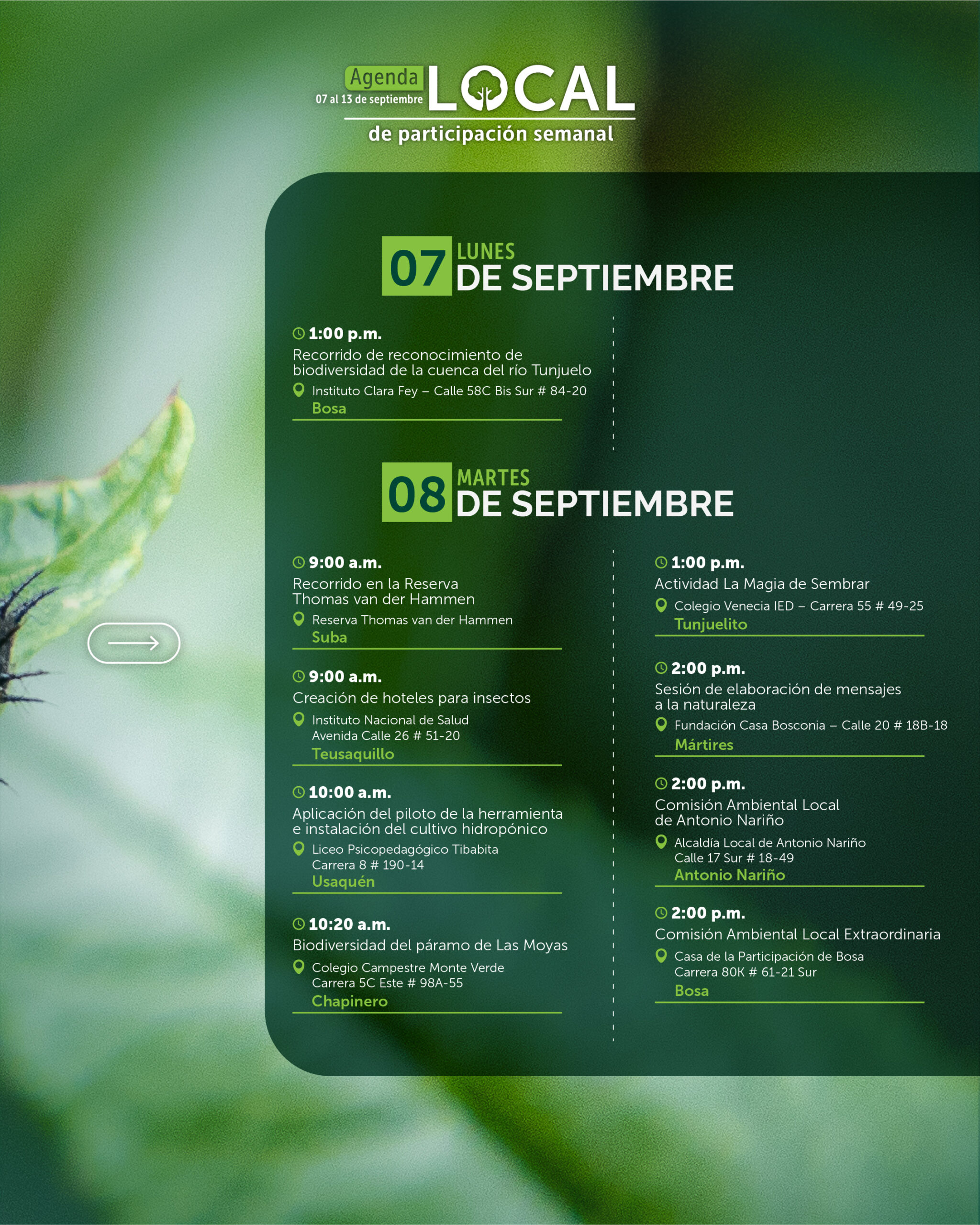 7 al 13 de septiembre-02