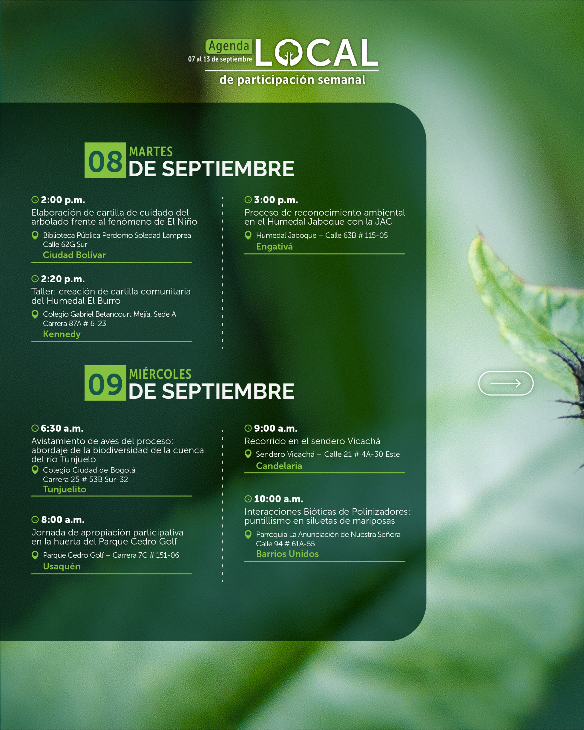 7 al 13 de septiembre-03