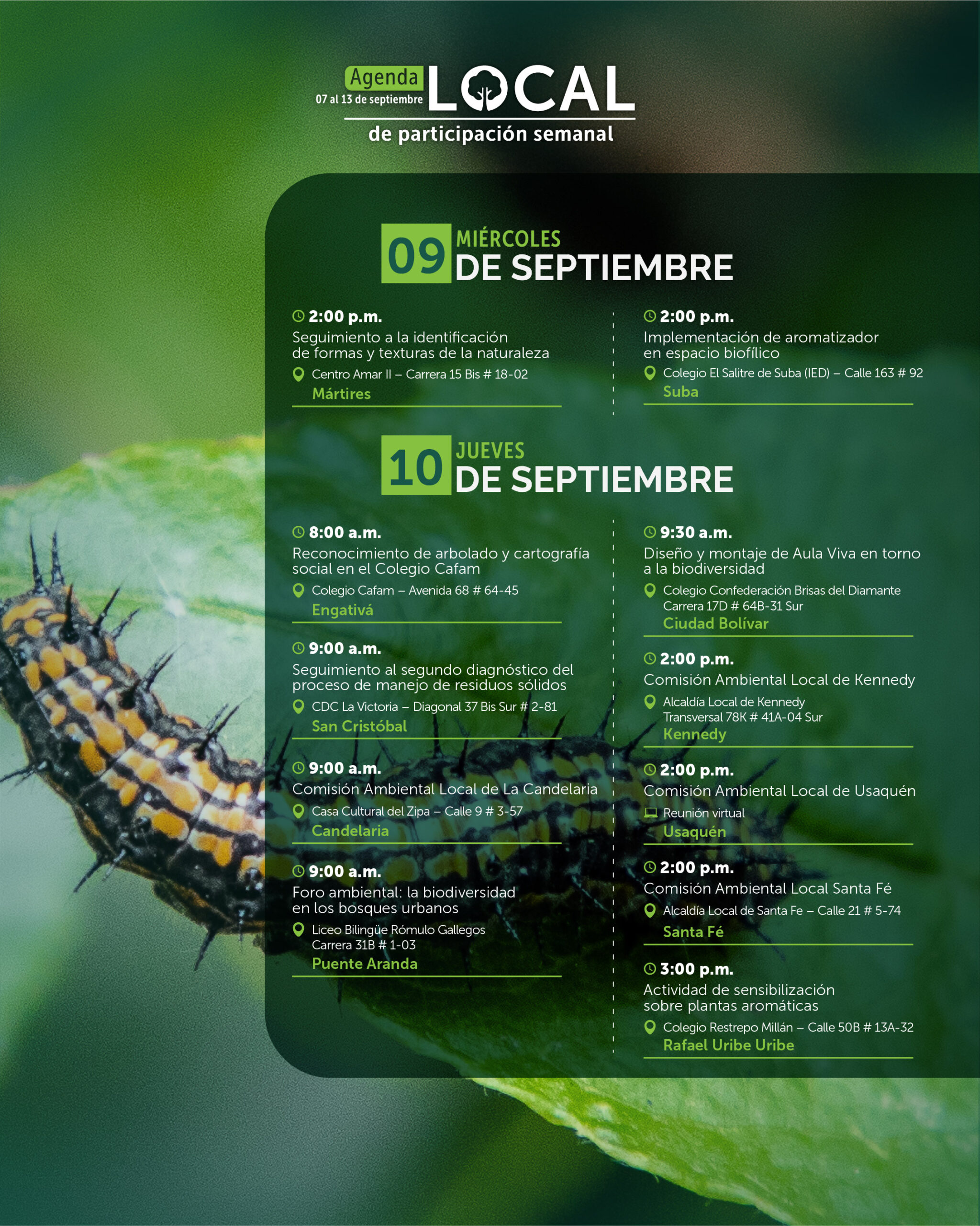7 al 13 de septiembre-04