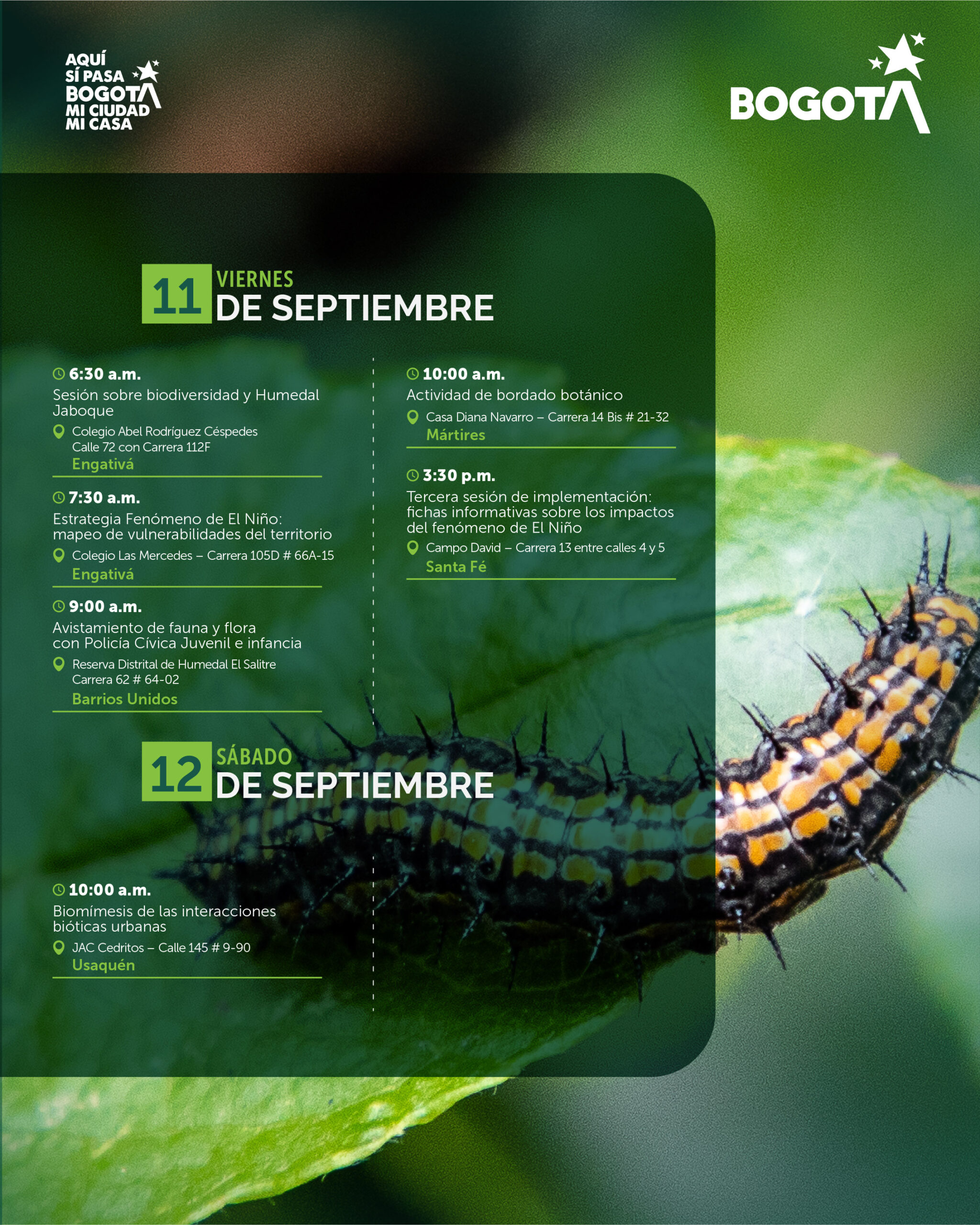 7 al 13 de septiembre-05
