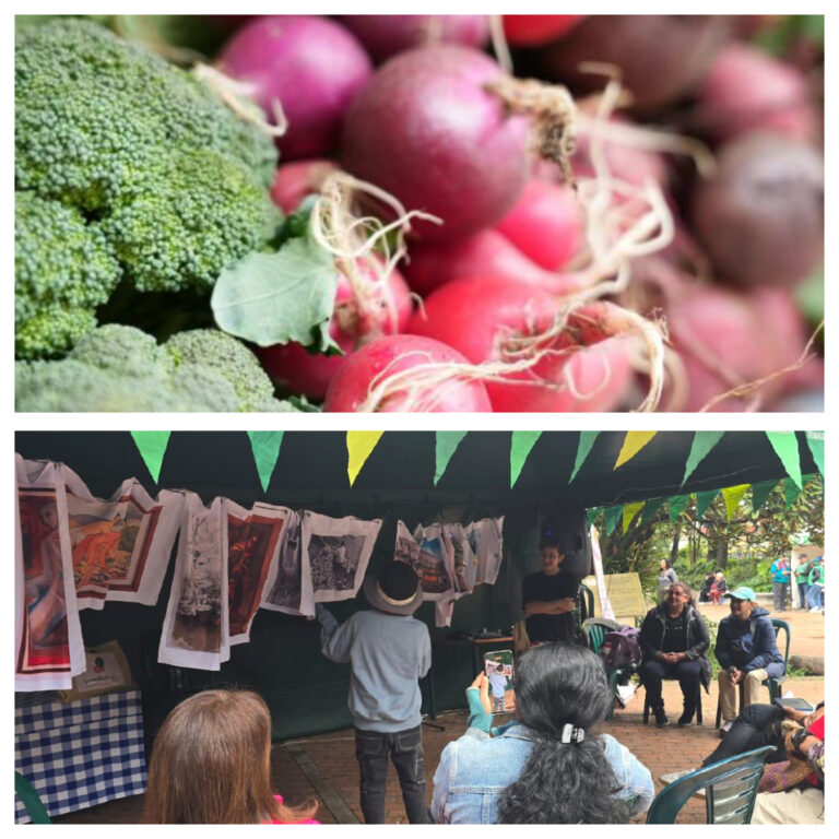 Bogotá conecta agricultura urbana, turismo y economía local en el Festival “De Huerta en Huerta”