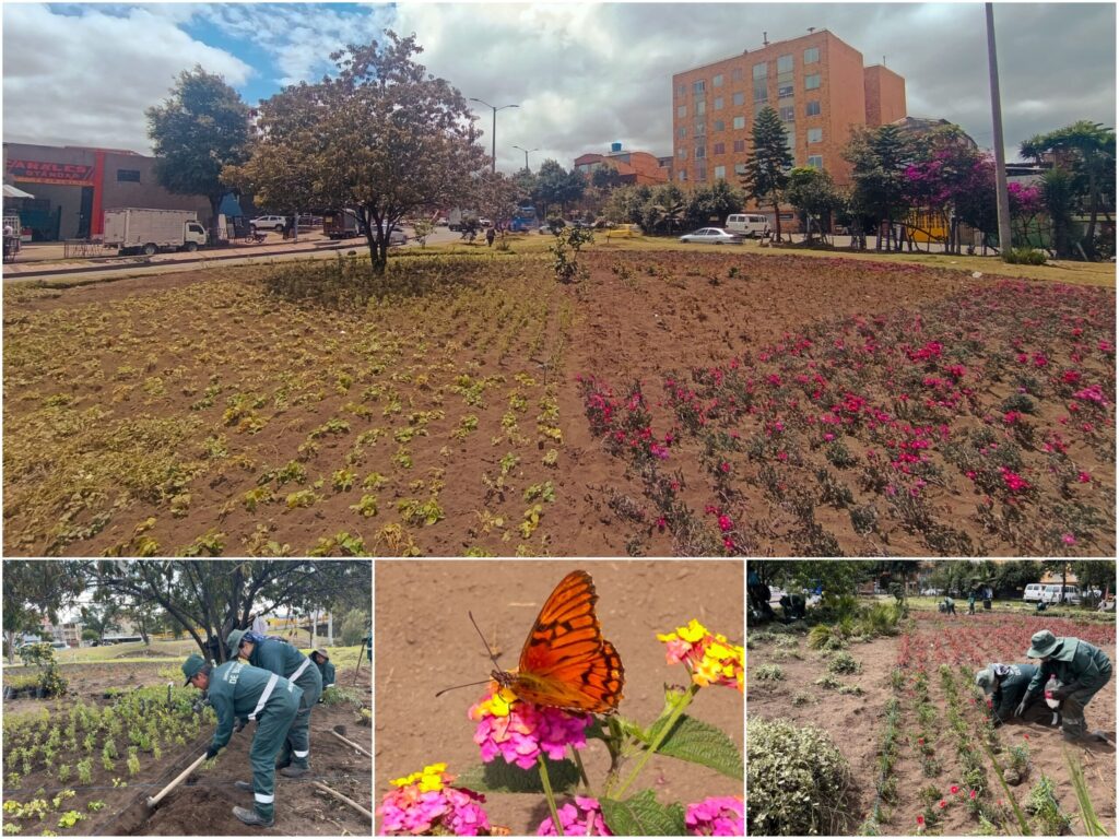 Historias del verde urbano: El nuevo jardín biodiverso del Bravo Páez