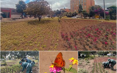 Historias del verde urbano: El nuevo jardín biodiverso del Bravo Páez