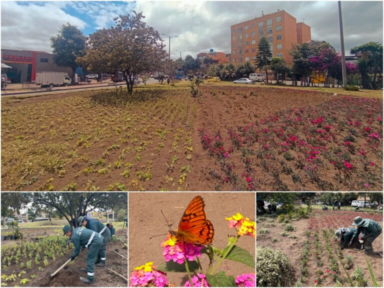 Historias del verde urbano: El nuevo jardín biodiverso del Bravo Páez