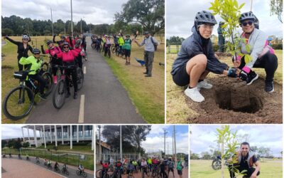 Historias del verde urbano: ¡Ciclopaseo entre dos bosques urbanos del sur de Bogotá!