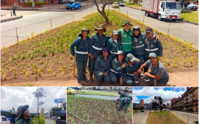 Historias del verde urbano: ¡Dos jardineras de la calle 26 vuelven a florecer!