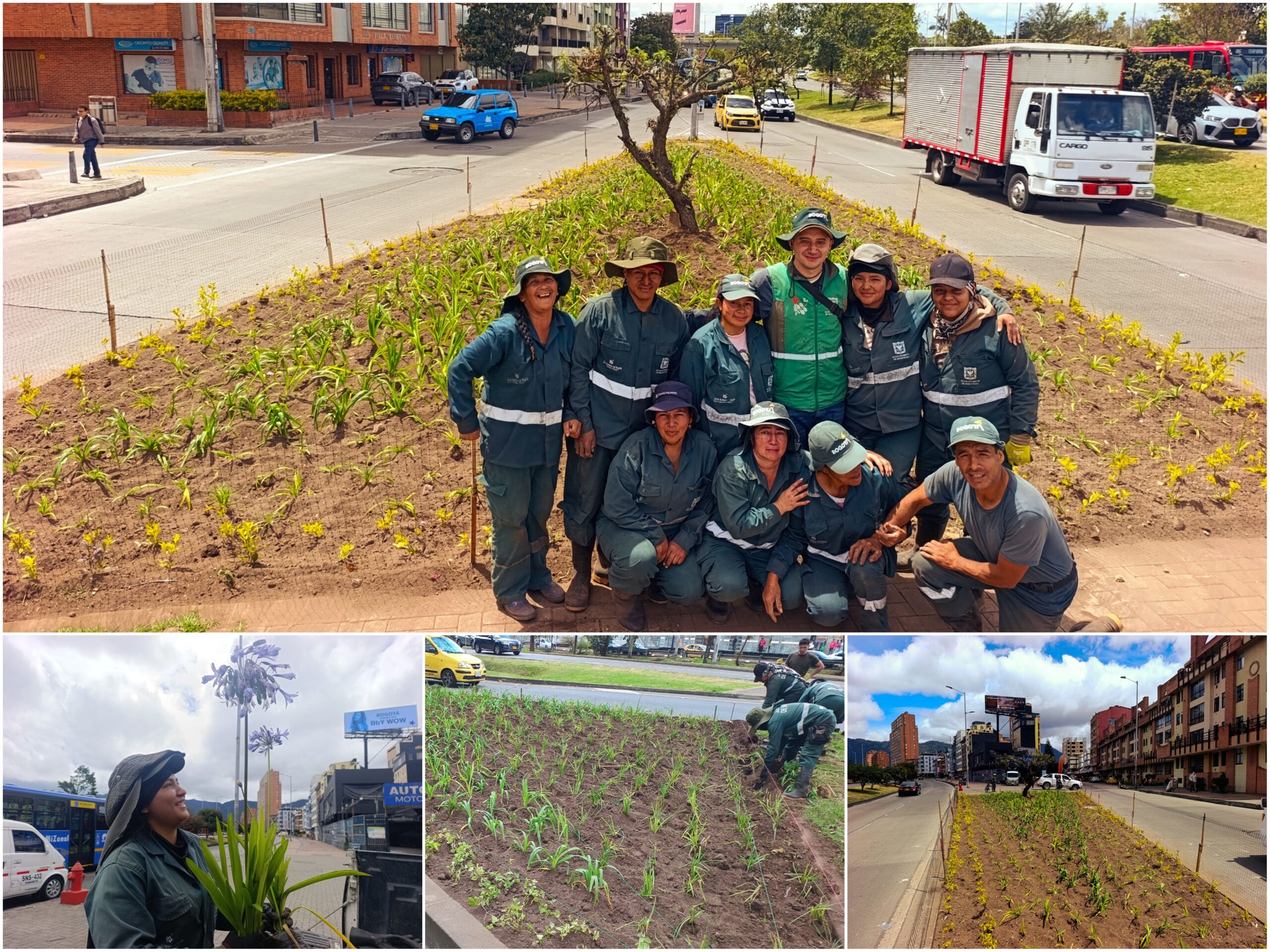 Historias del verde urbano: ¡Dos jardineras de la calle 26 vuelven a florecer! Historias del verde urbano: ¡Dos jardineras de la calle 26 vuelven a florecer!