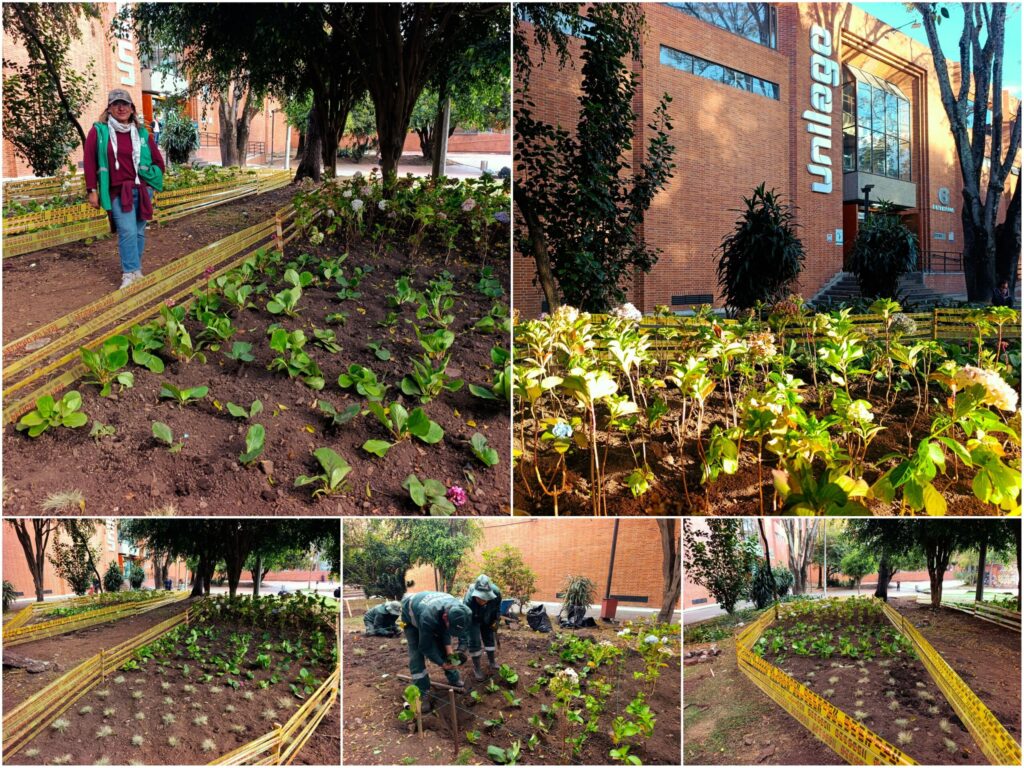 Historias del verde urbano: El cambio extremo de la jardinera de Unilago