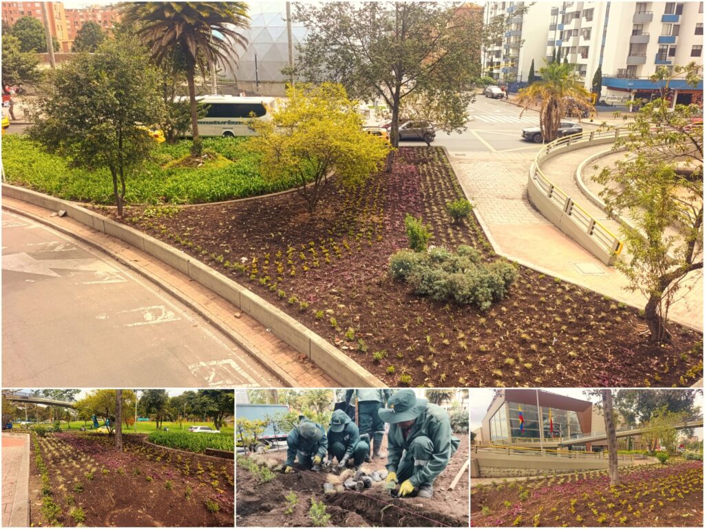Historias del verde urbano: El nuevo jardín que floreció en los alrededores de Salitre Plaza y Maloka