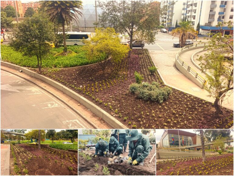 Historias del verde urbano: El nuevo jardín que floreció en los alrededores de Salitre Plaza y Maloka