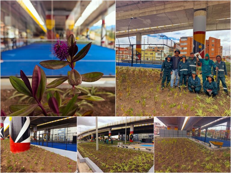 Historias del verde urbano: La primera cancha de pádel en espacio público del país floreció con varias jardineras