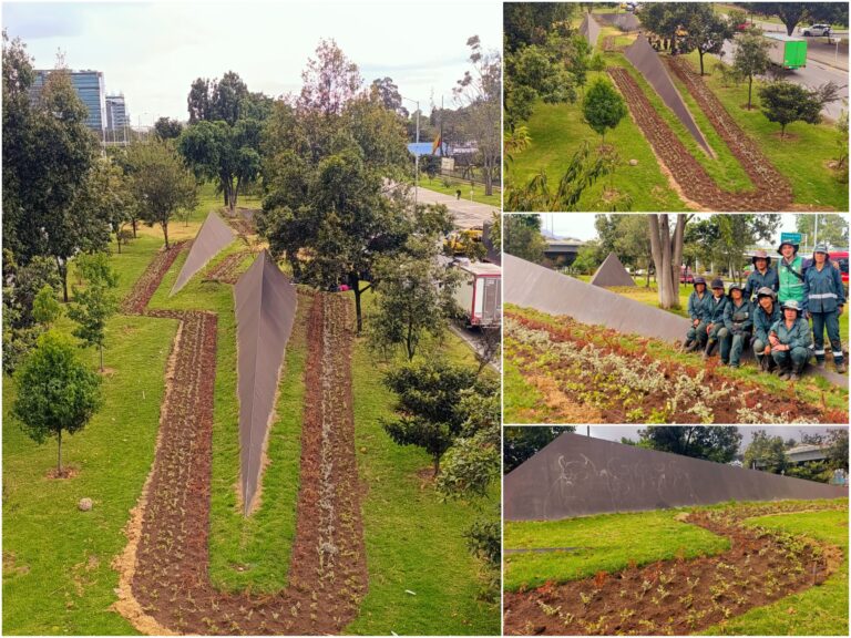 Historias del verde urbano: ¡El nuevo río floral que fluye por la calle 26!