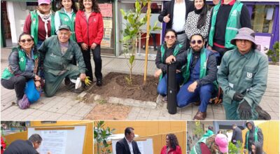 Historias del verde urbano: El primer centro comercial de estilo abierto en Bogotá ayudará a fortalecer las coberturas vegetales