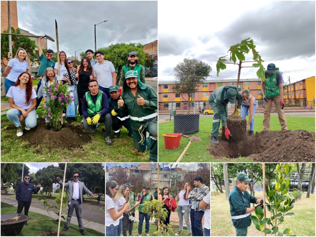 Historias del verde urbano: Bogotá sumó 403 nuevos árboles y arbustos a su cobertura vegetal a finales de agosto