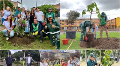 Historias del verde urbano: Bogotá sumó 403 nuevos árboles y arbustos a su cobertura vegetal a finales de agosto