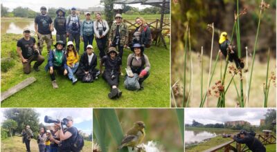“Entre bosques y humedales”: un recorrido de conexión por una esponja hídrica de Fontibón