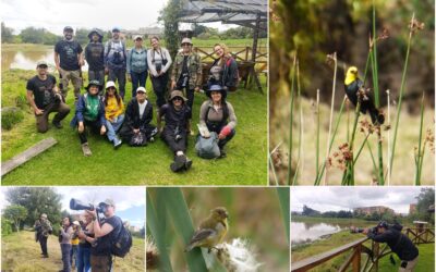 “Entre bosques y humedales”: un recorrido de conexión por una esponja hídrica de Fontibón “Entre bosques y humedales”: un recorrido de conexión por una esponja hídrica de Fontibón
