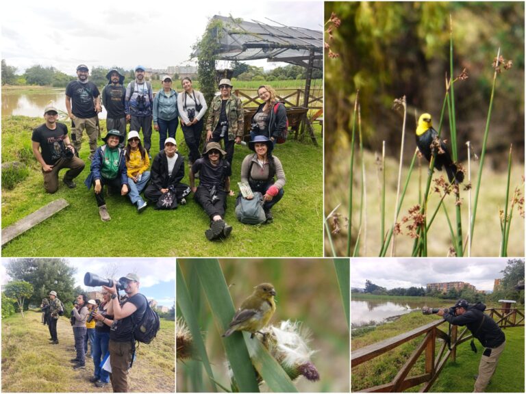 “Entre bosques y humedales”: un recorrido de conexión por una esponja hídrica de Fontibón