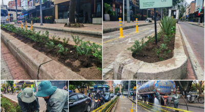 Historias del verde urbano: ¡La transformación jardinera llegó a la Zona Rosa!