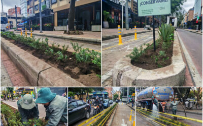 Historias del verde urbano: ¡La transformación jardinera llegó a la Zona Rosa! Historias del verde urbano: ¡La transformación jardinera llegó a la Zona Rosa!