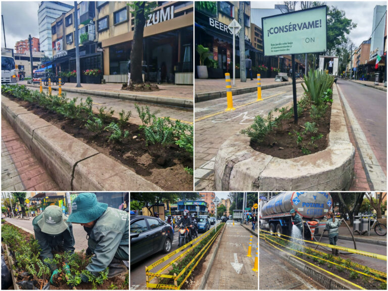 Historias del verde urbano: ¡La transformación jardinera llegó a la Zona Rosa!