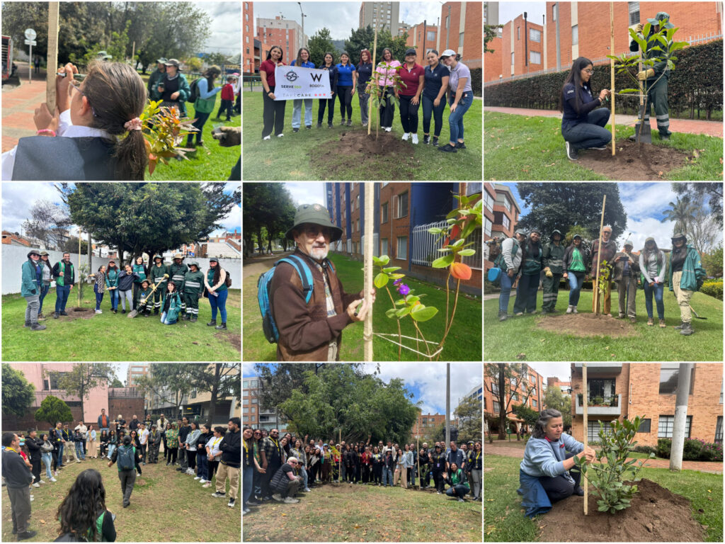 Historias del verde urbano: ¡Usaquén y Chapinero reverdecen con la participación ciudadana!