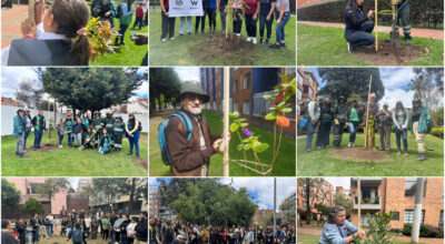 Historias del verde urbano: ¡Usaquén y Chapinero reverdecen con la participación ciudadana!