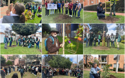 Historias del verde urbano: ¡Usaquén y Chapinero reverdecen con la participación ciudadana! Historias del verde urbano: ¡Usaquén y Chapinero reverdecen con la participación ciudadana!