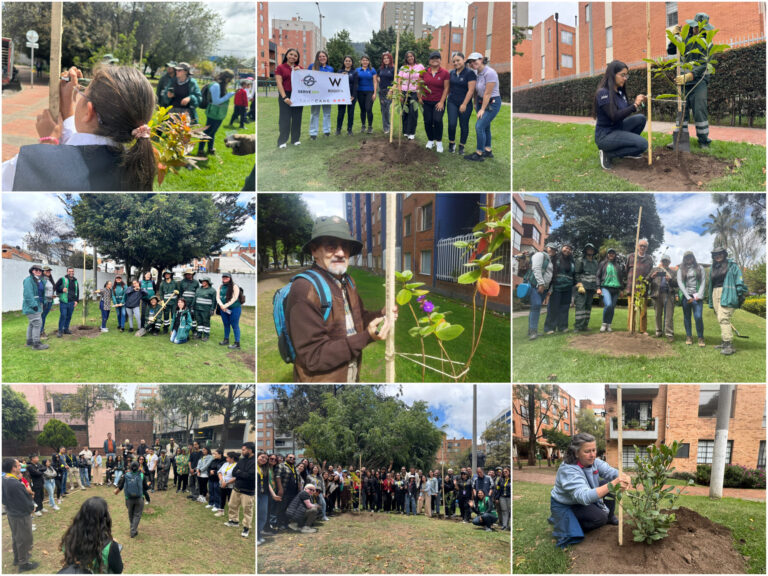 Historias del verde urbano: ¡Usaquén y Chapinero reverdecen con la participación ciudadana!