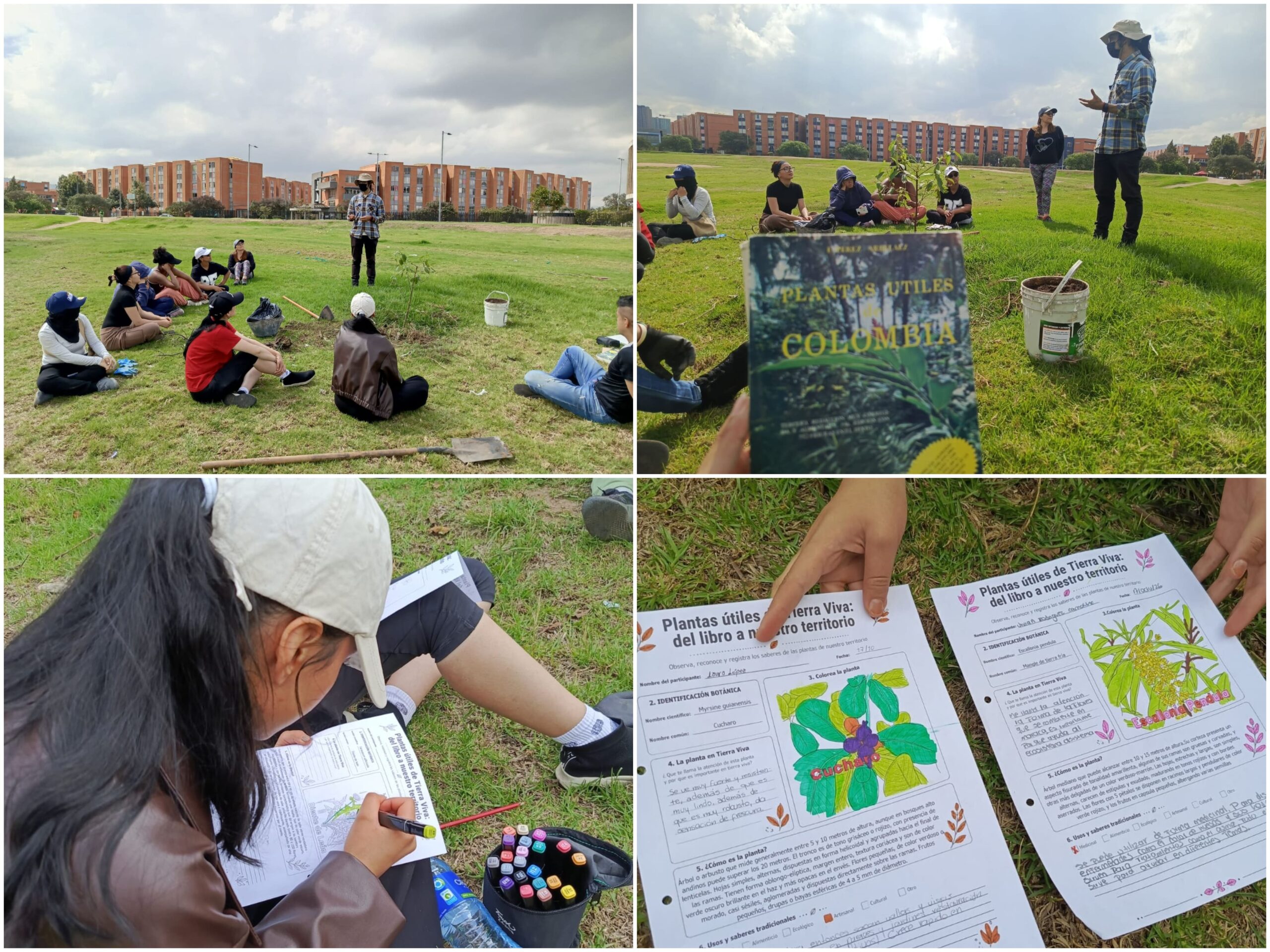 Historias del verde urbano: “Educación ambiental arbórea” en seis localidades de Bogotá