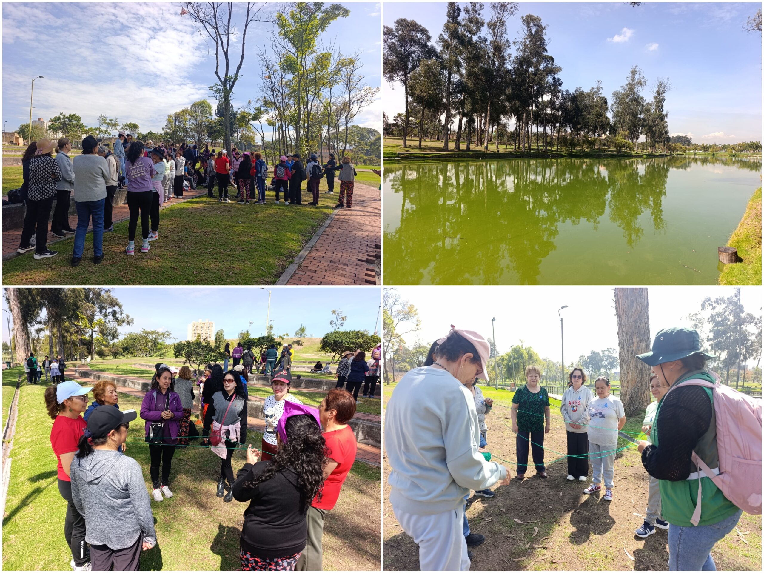 Historias del verde urbano : “Mujeres, raíces y derechos”: un encuentro que ayudó a renaturalizar el parque Timiza Historias del verde urbano : “Mujeres, raíces y derechos”: un encuentro que ayudó a renaturalizar el parque Timiza
