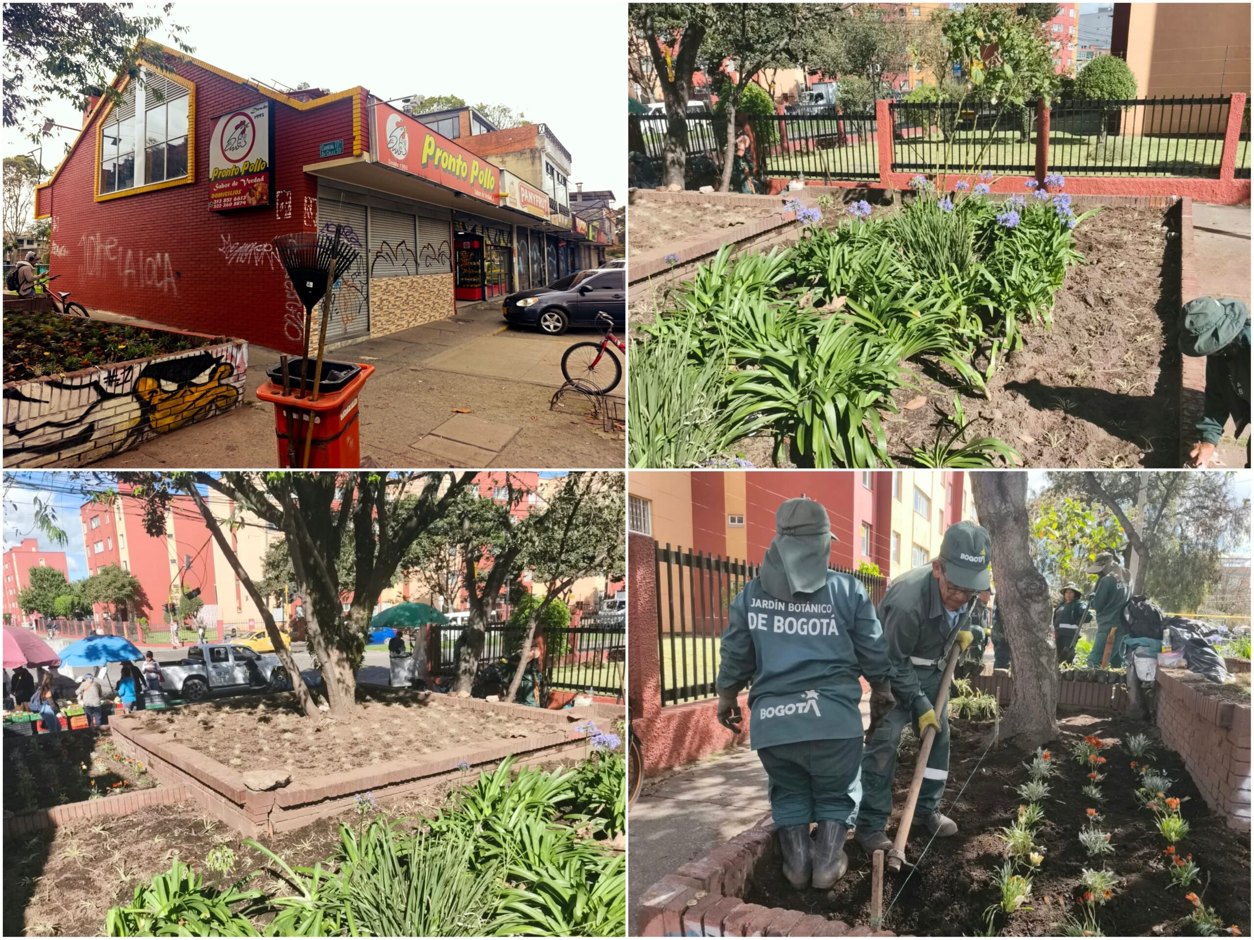 Historias del verde urbano: ¡Dos jardines longevos de Santa Cecilia volvieron a la vida!