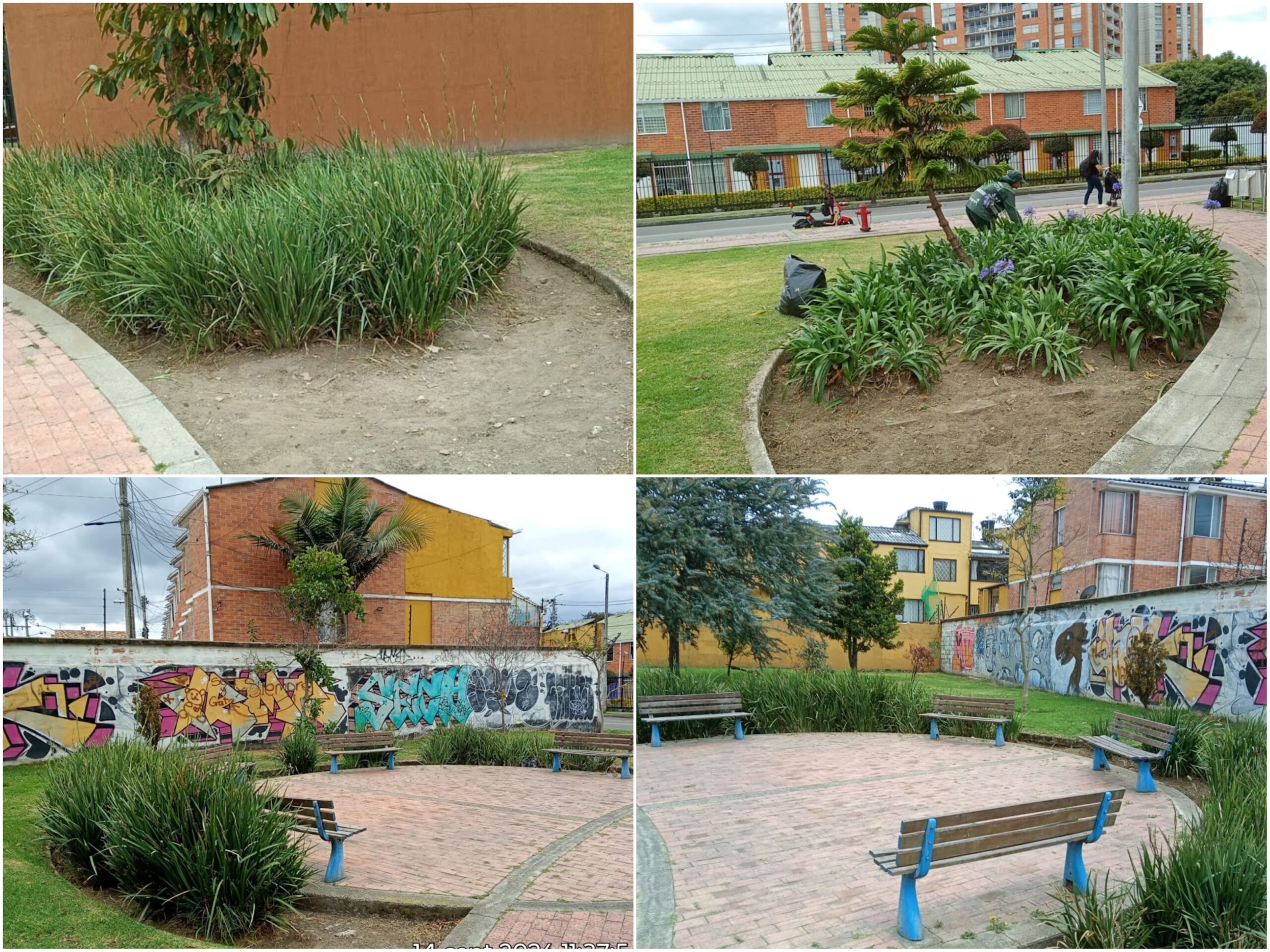 Historias del verde urbano: ¡Nace un nuevo hogar para las abejas, mariposas y otros polinizadores en Suba! Historias del verde urbano: ¡Nace un nuevo hogar para las abejas, mariposas y otros polinizadores en Suba!