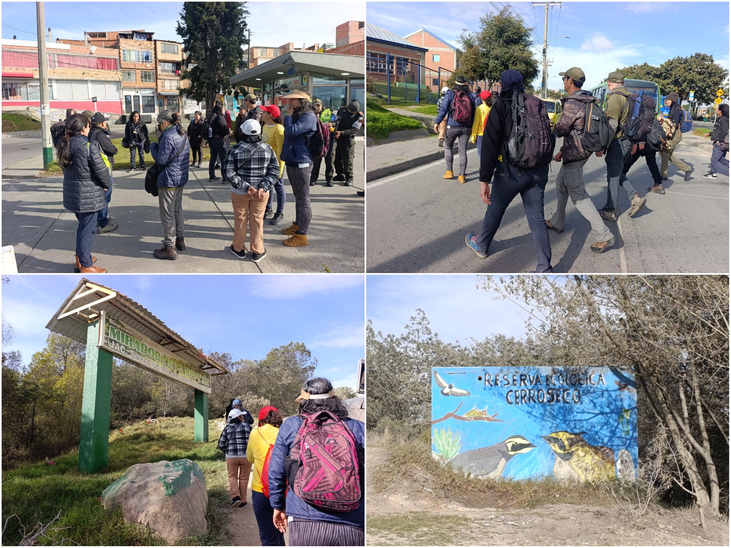 Historias del verde urbano: Guardianes del Parkway y Canal Boyacá conocieron el mayor tesoro “alado” de Cerro Seco