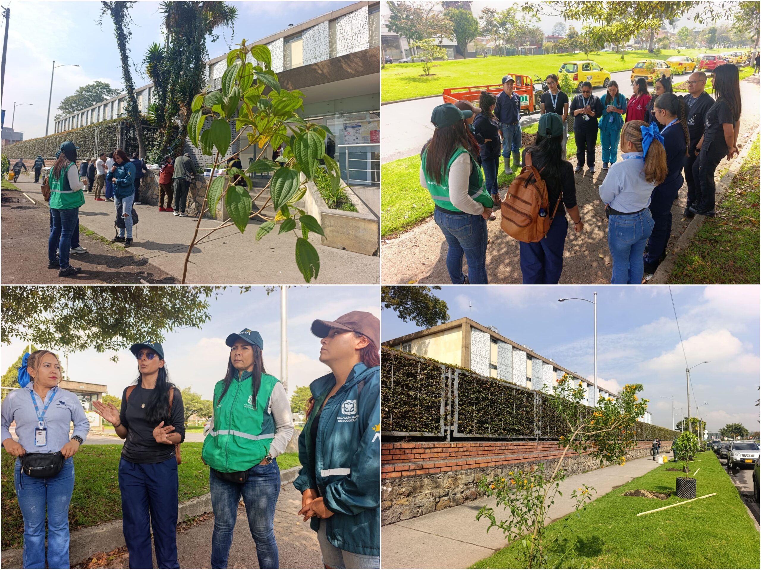 Historias del verde urbano: El bosque urbano La Esmeralda suma nuevos guardianes del arbolado