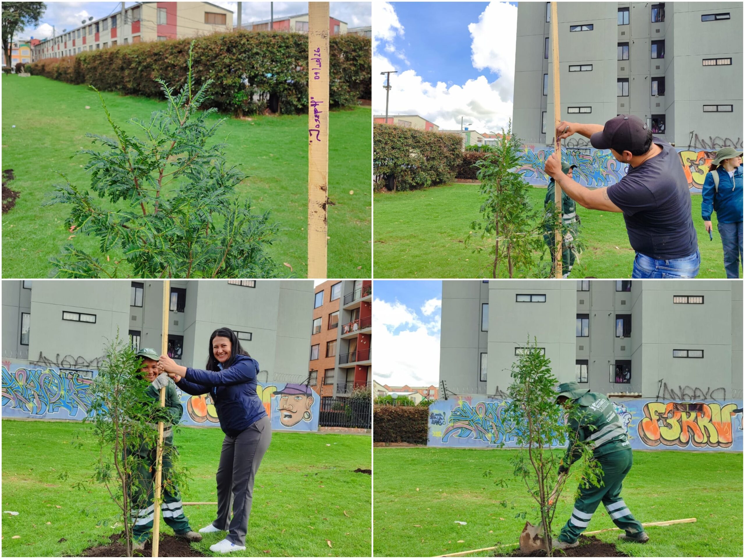 Historias del verde urbano: Cinco parques de Suba se renaturalizaron con más de 100 nuevos árboles y arbustos