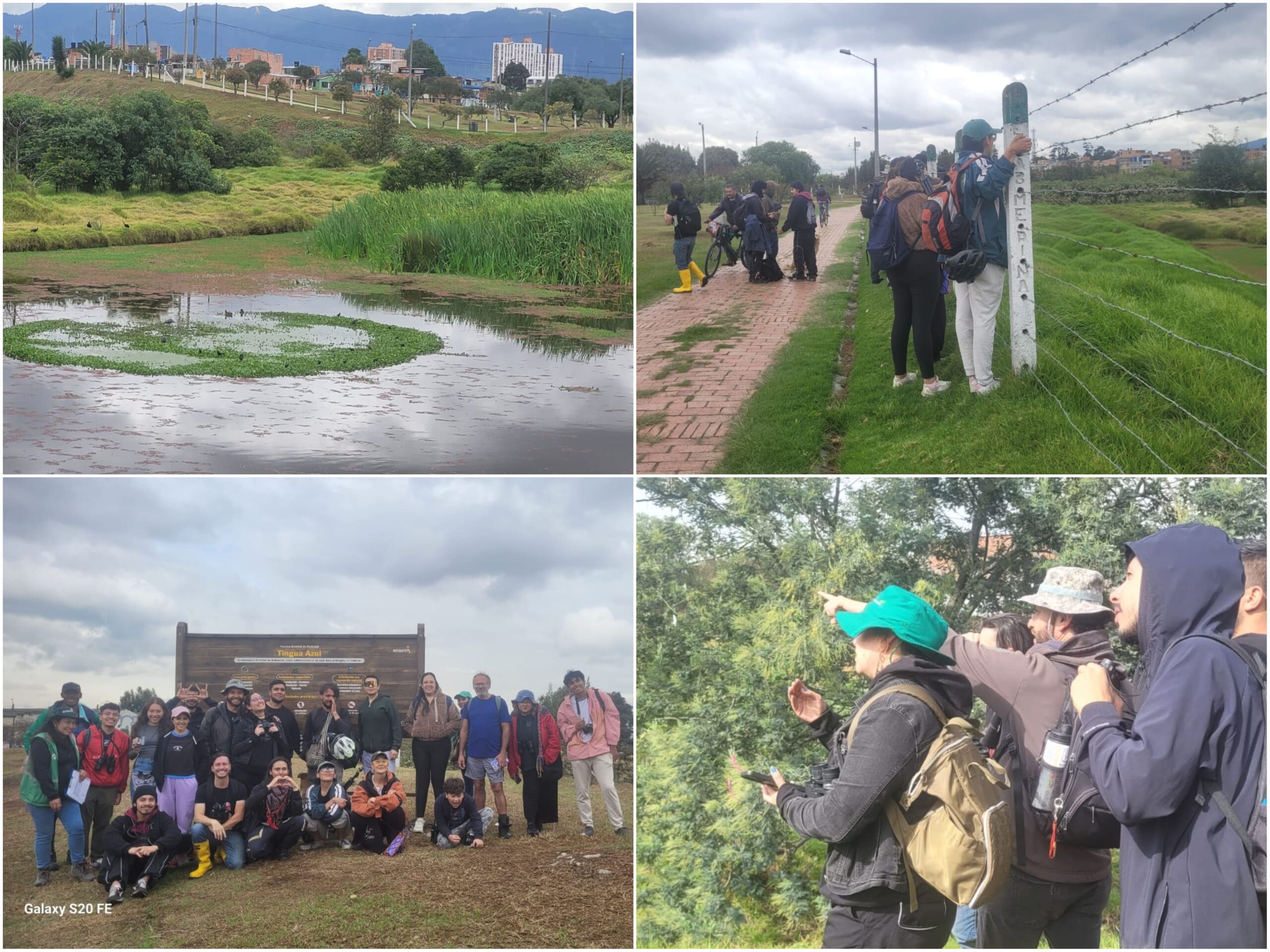 Historias del verde urbano: ¡Pajareadas en seis bosques urbanos de Bogotá durante el October Big Day! Historias del verde urbano: ¡Pajareadas en seis bosques urbanos de Bogotá durante el October Big Day!