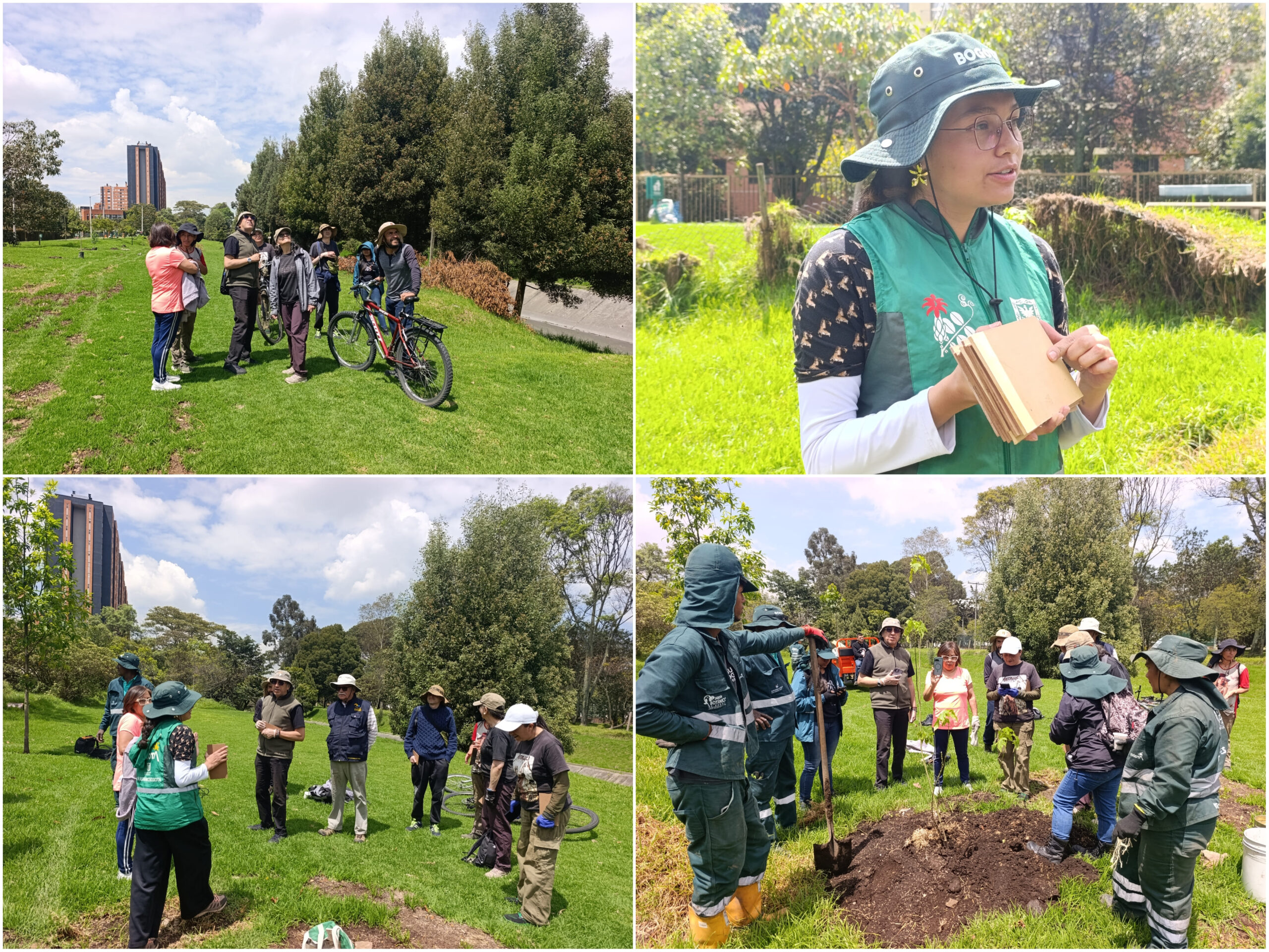 Historias del verde urbano: Canal Boyacá fortaleció su gran tesoro verde: el arbolado Historias del verde urbano: Canal Boyacá fortaleció su gran tesoro verde: el arbolado