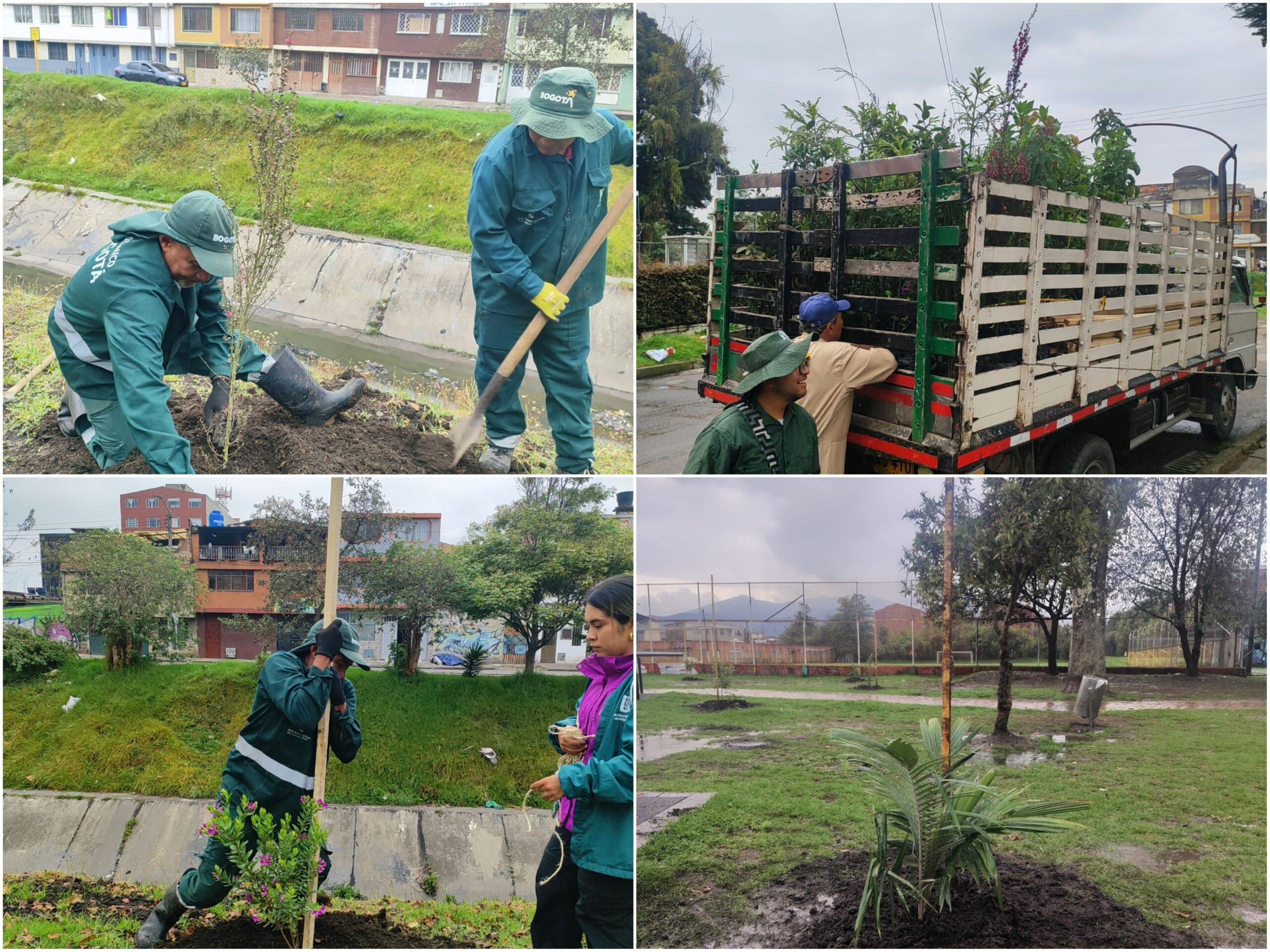 Historias del verde urbano: ¡Engativá renaturaliza sus parques y canales!