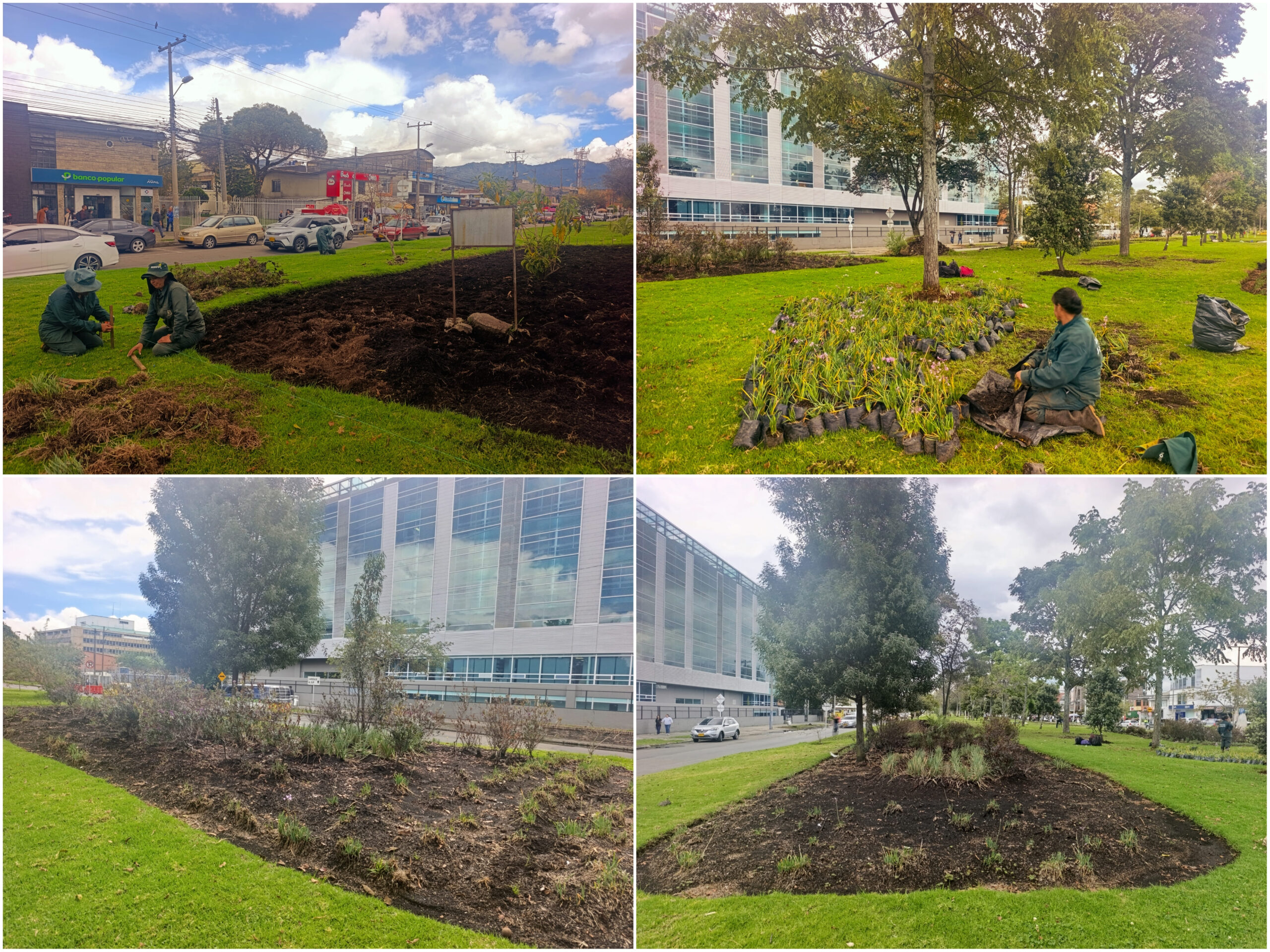 Historias del verde urbano: ¡Renovación jardinera en La Esmeralda! Historias del verde urbano: ¡Renovación jardinera en La Esmeralda!