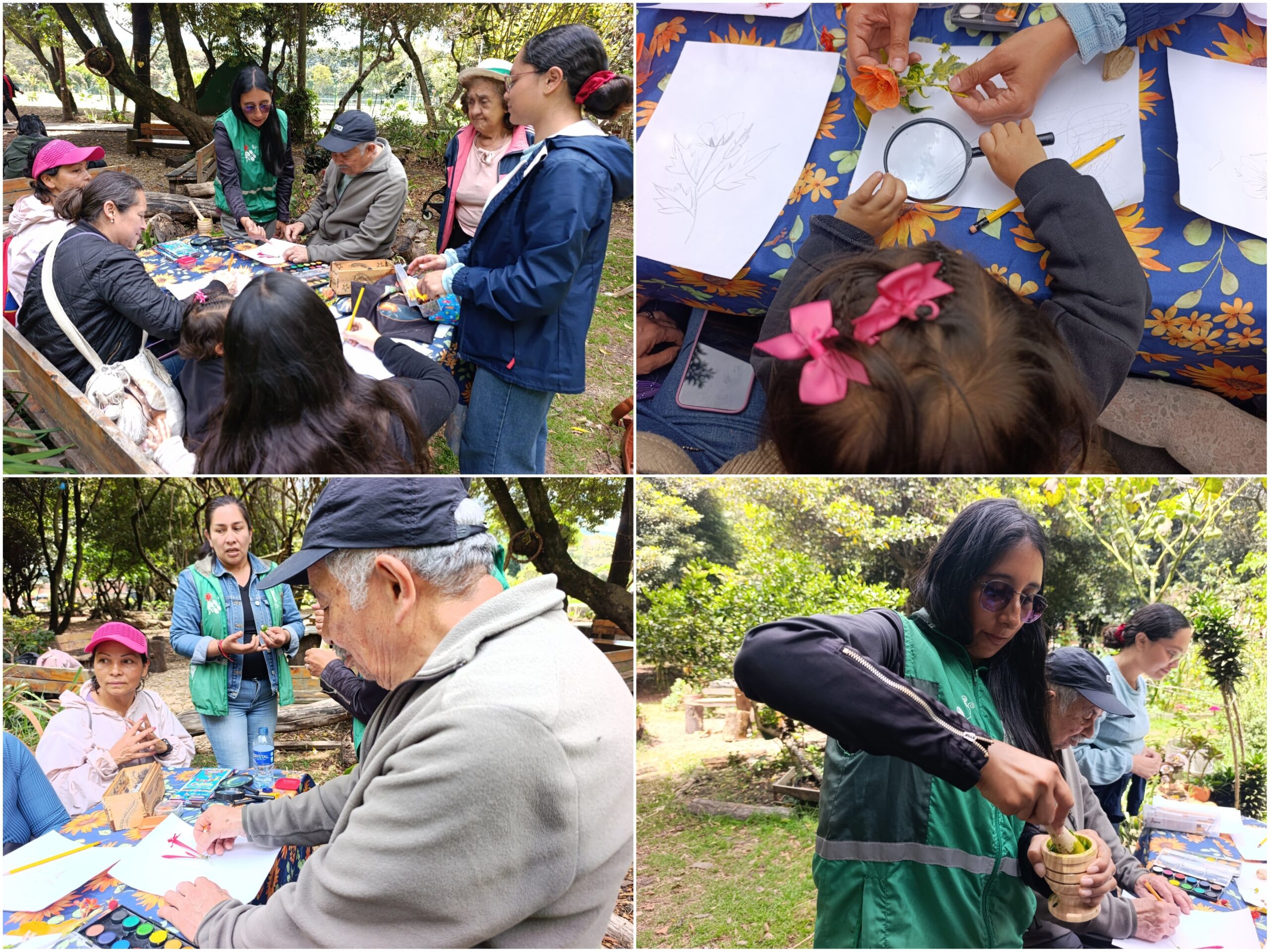 Historias del verde urbano: “Maratón” de actividades ambientales en los bosques urbanos de Bogotá