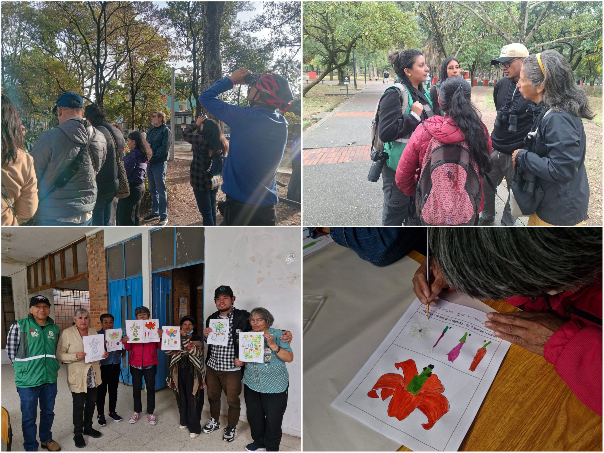 Historias del verde urbano: “Maratón” de actividades ambientales en los bosques urbanos de Bogotá