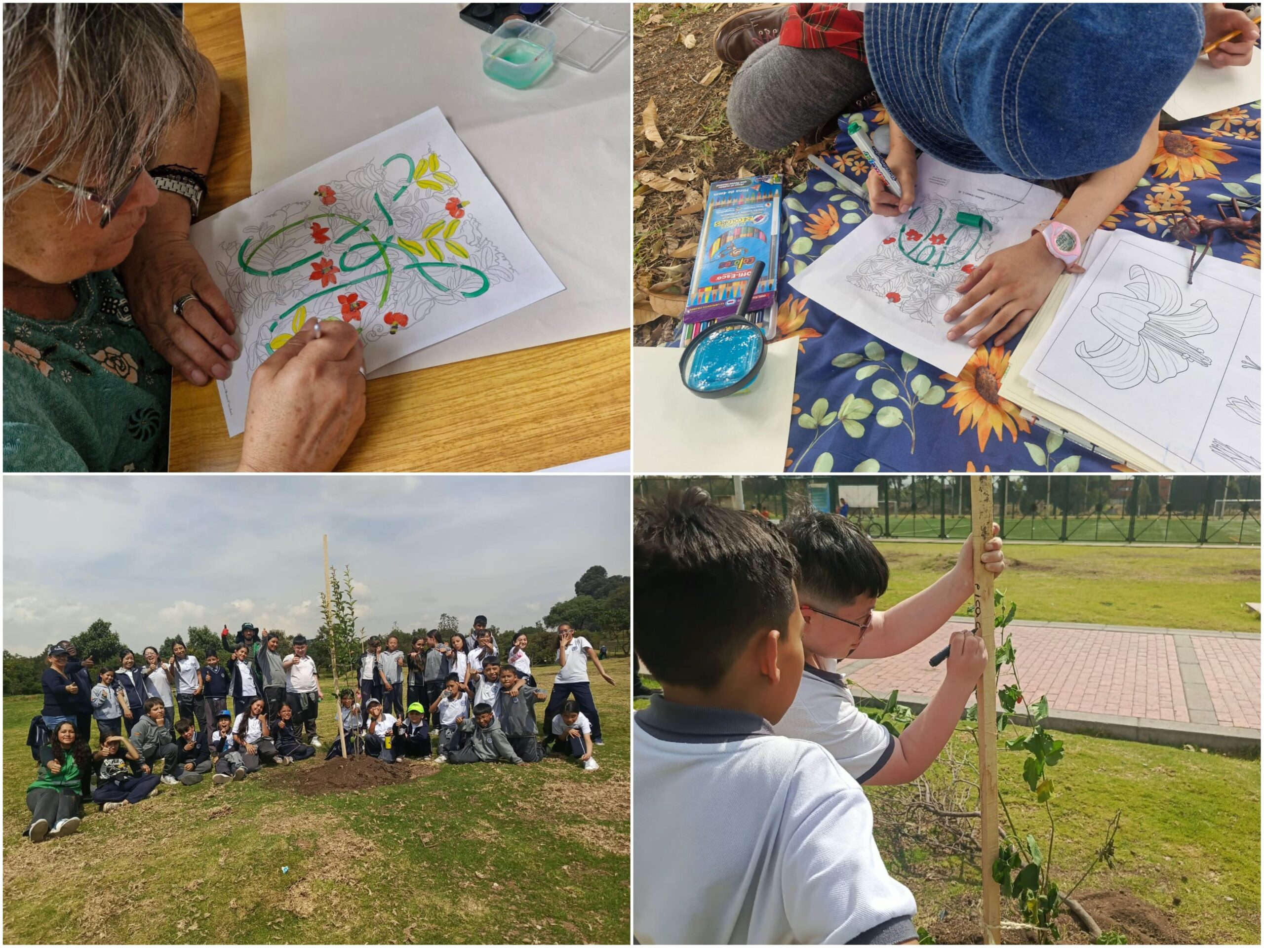 Historias del verde urbano: “Maratón” de actividades ambientales en los bosques urbanos de Bogotá