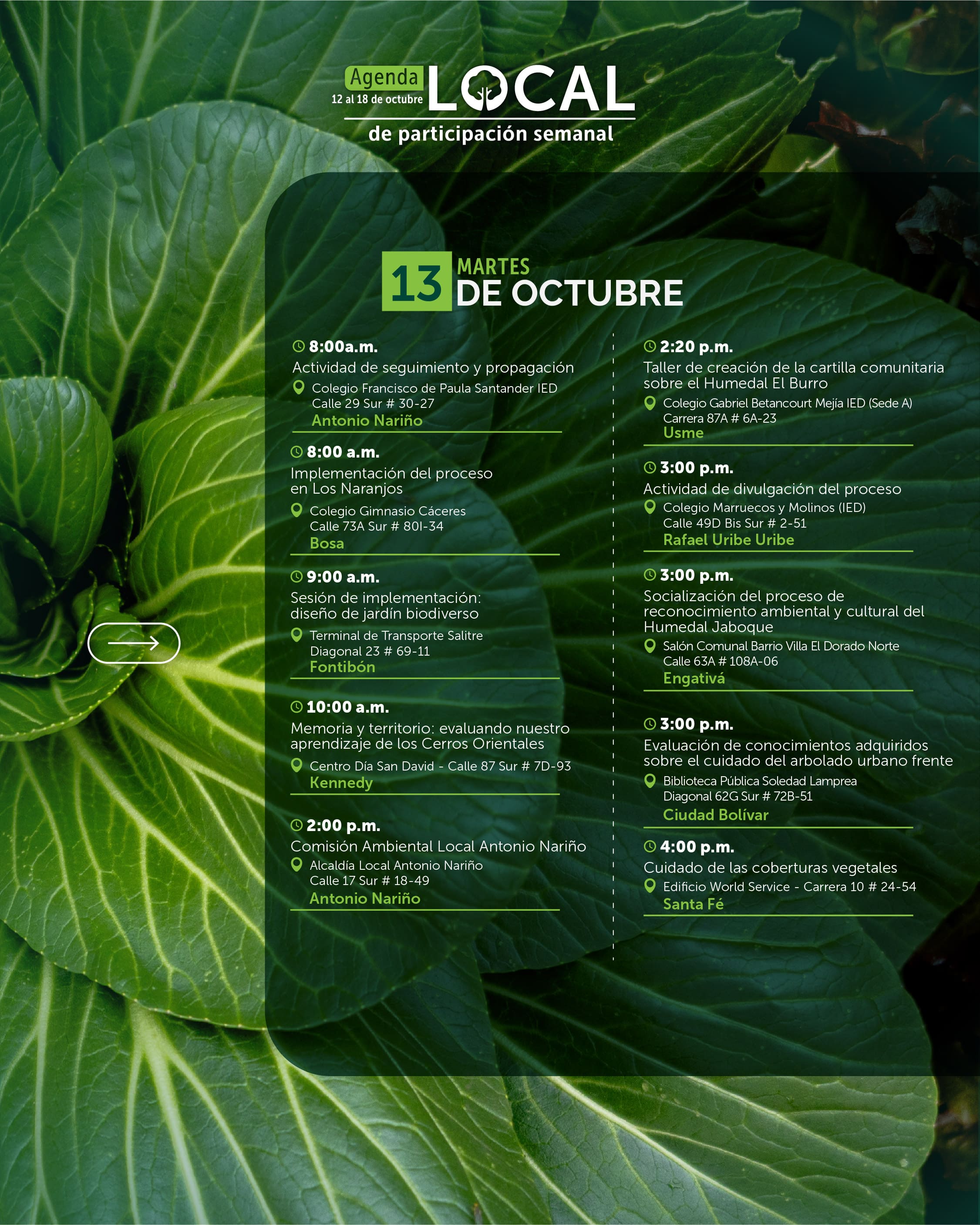 agenda local 12 al 18 de octubre-02