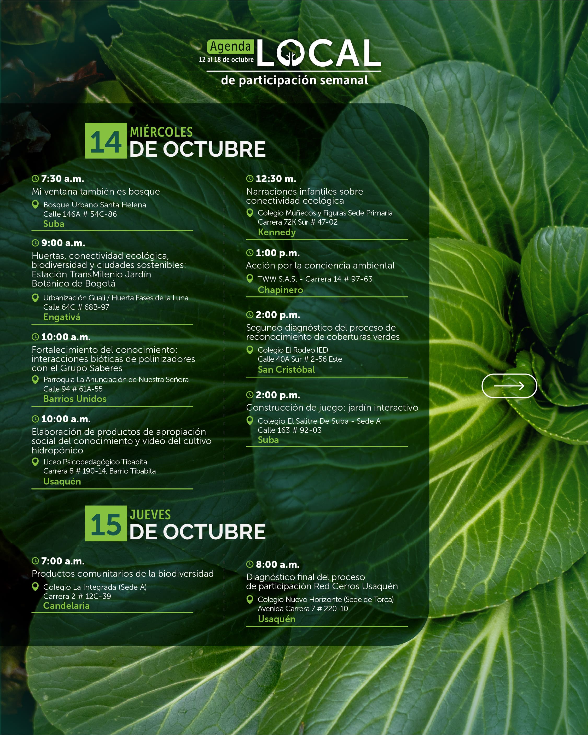 agenda local 12 al 18 de octubre-03