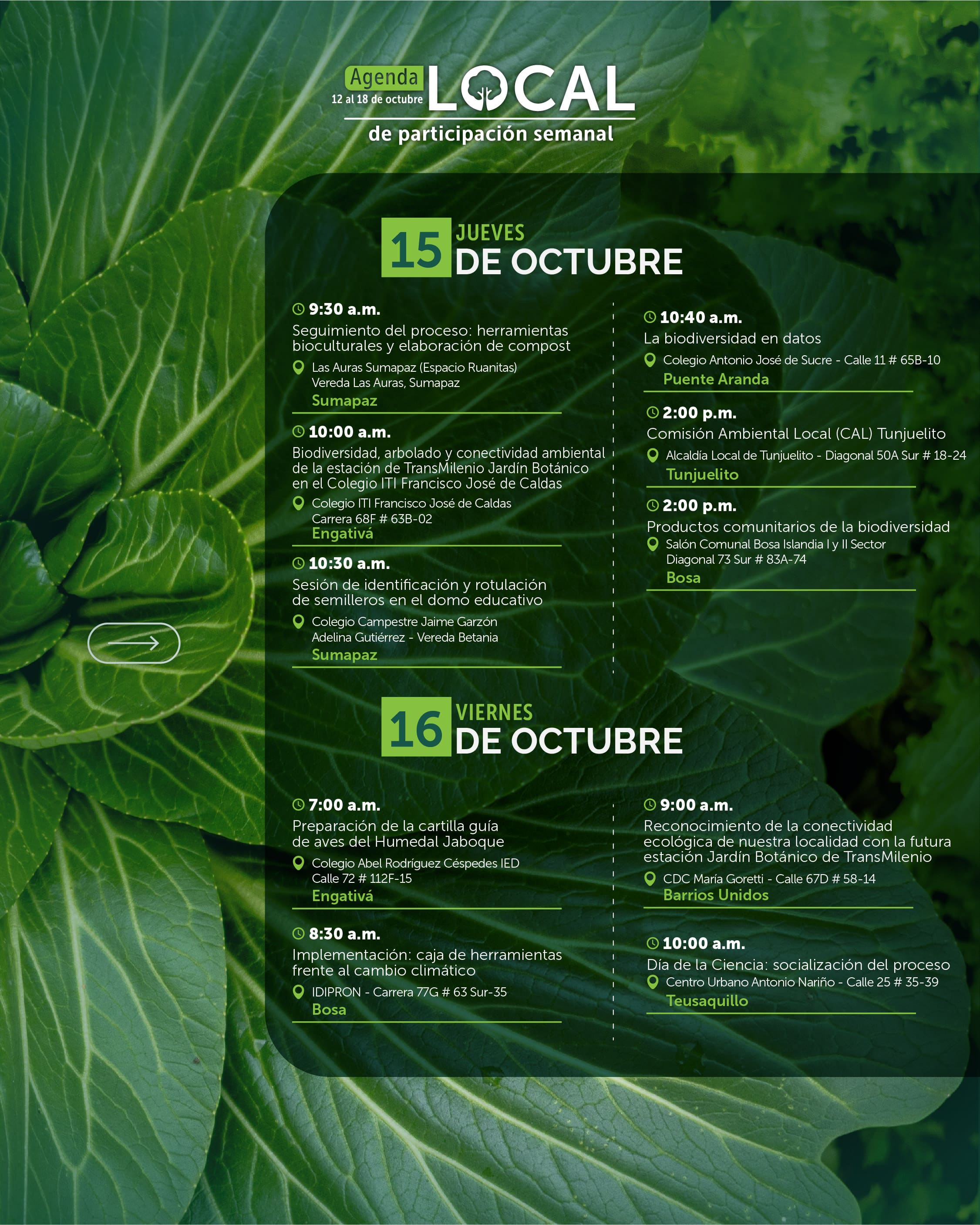 agenda local 12 al 18 de octubre-04