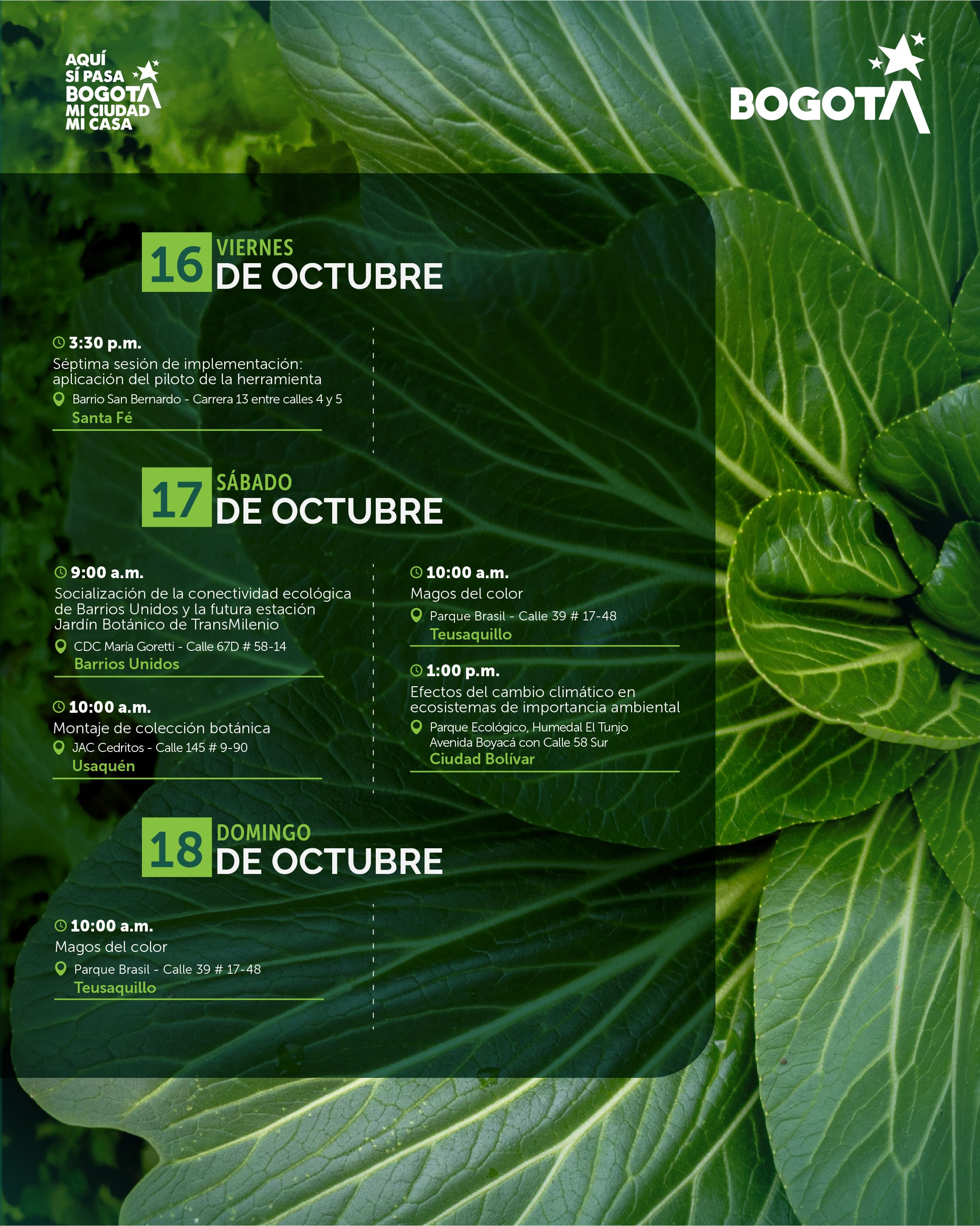 agenda local 12 al 18 de octubre-05