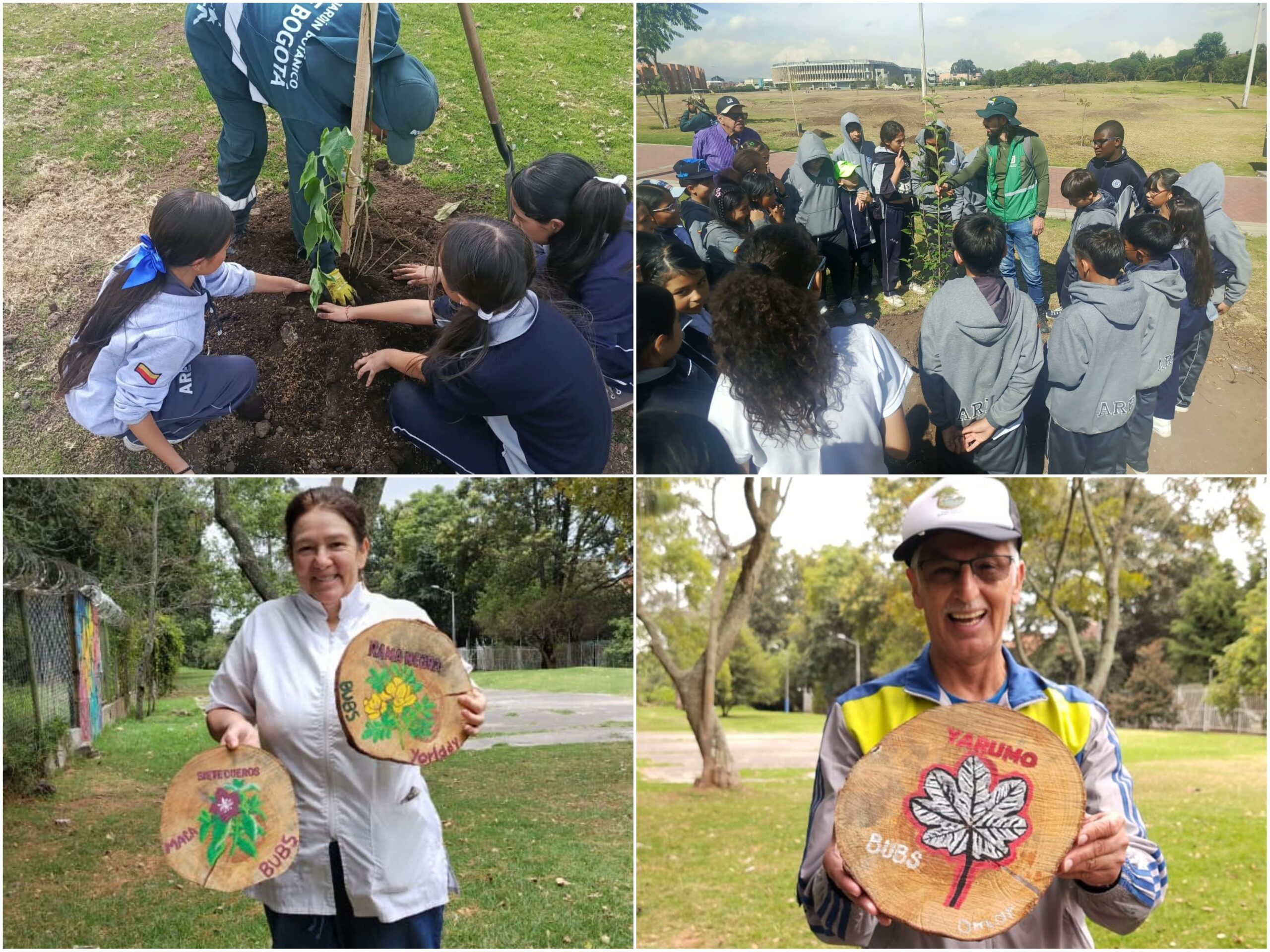 Historias del verde urbano: “Maratón” de actividades ambientales en los bosques urbanos de Bogotá